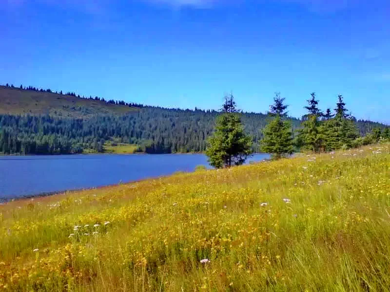 Beliș Cazare | Pensiune (K1005-35) Imaginea poate fi supusă drepturilor de autor. Se recomandă contactarea titularului drepturilor. Beliș Cazare | Pensiune (K1005-35) Imaginea poate fi supusă drepturilor de autor. Se recomandă contactarea titularului drepturilor.