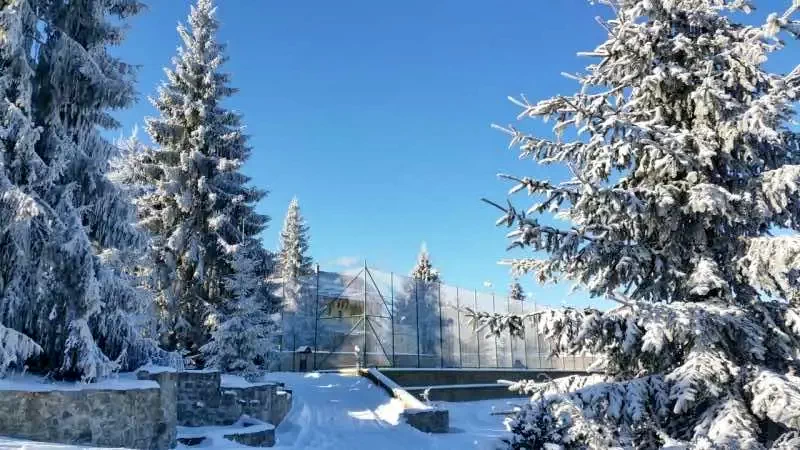 Beliș Cazare | Motel (K1005-61) Imaginea poate fi supusă drepturilor de autor. Se recomandă contactarea titularului drepturilor.