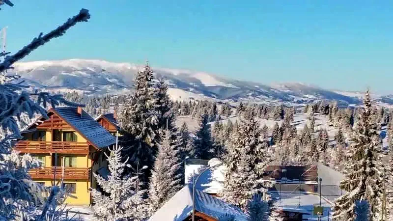 Jósikafalva Szállás | Motel (K1005-63) A kép szerzői jogvédelem alatt állhat. Javasolt a kapcsolatfelvétel a jog tulajdonossal.