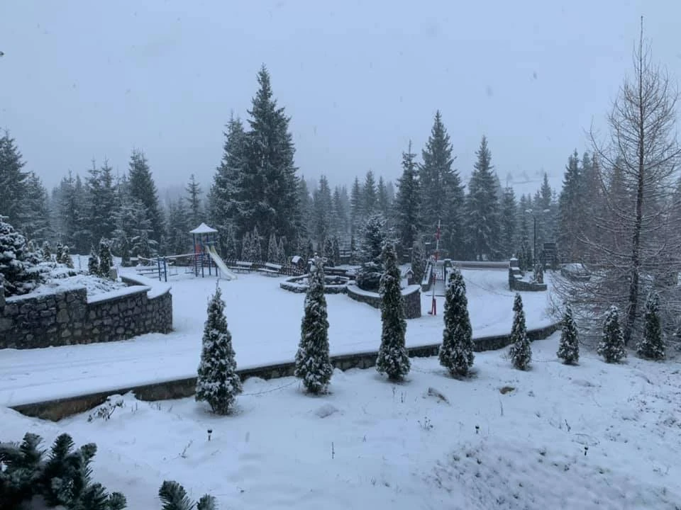 Beliș Cazare | Motel (K1005-66) Imaginea poate fi supusă drepturilor de autor. Se recomandă contactarea titularului drepturilor.