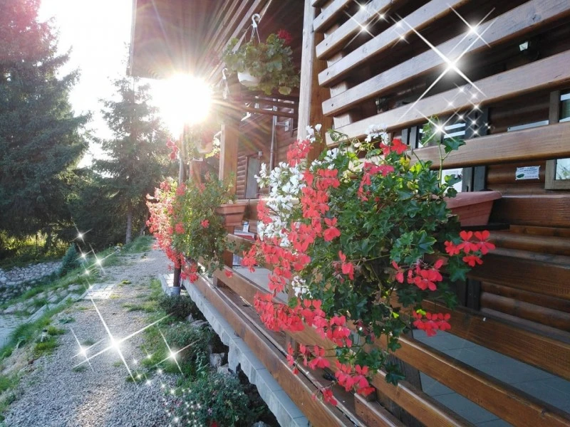 Beliș Cazare | Motel (K1005-67) Imaginea poate fi supusă drepturilor de autor. Se recomandă contactarea titularului drepturilor.