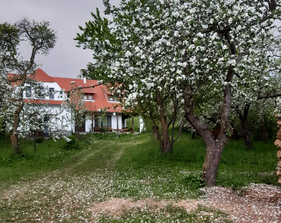 Bikfalva Szállás | Panzió (K1530-14) A kép szerzői jogvédelem alatt állhat. Javasolt a kapcsolatfelvétel a jog tulajdonossal. Bikfalva Szállás | Panzió (K1530-14) A kép szerzői jogvédelem alatt állhat. Javasolt a kapcsolatfelvétel a jog tulajdonossal.