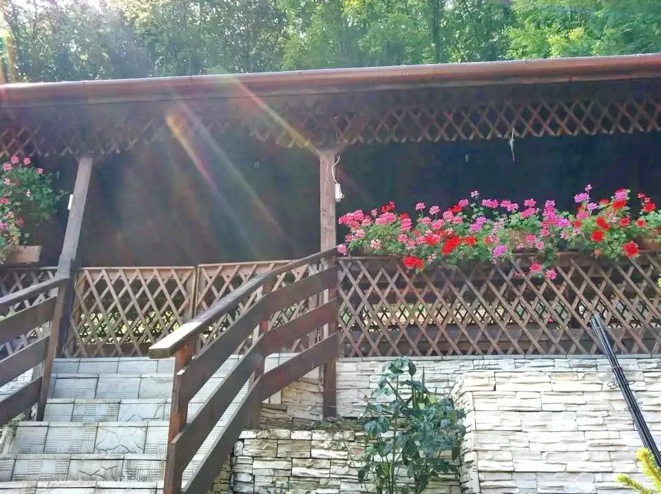 Hunedoara Cazare | Cabană (K1406-8) Imaginea poate fi supusă drepturilor de autor. Se recomandă contactarea titularului drepturilor.