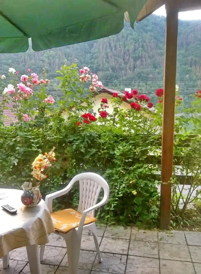 Hunedoara Cazare | Sat de vacanță (K1406-10) Imaginea poate fi supusă drepturilor de autor. Se recomandă contactarea titularului drepturilor.