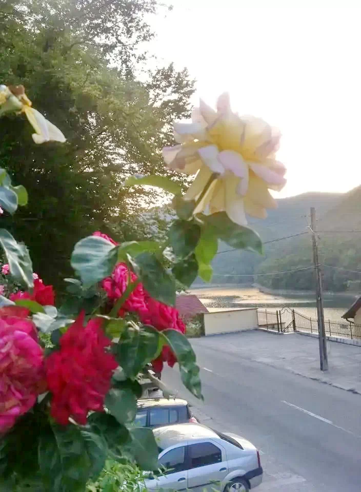 Vajdahunyad Szállás | Üdülőfalu (K1406-14) A kép szerzői jogvédelem alatt állhat. Javasolt a kapcsolatfelvétel a jog tulajdonossal.