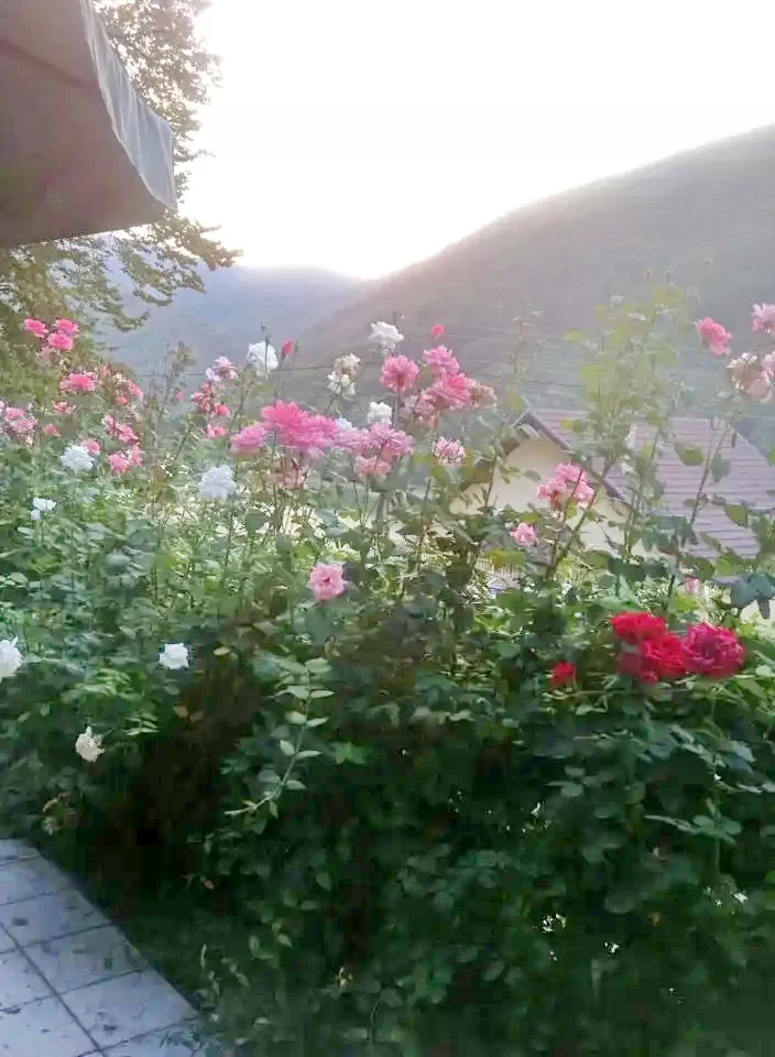 Hunedoara Cazare | Cabană (K1406-19) Imaginea poate fi supusă drepturilor de autor. Se recomandă contactarea titularului drepturilor.