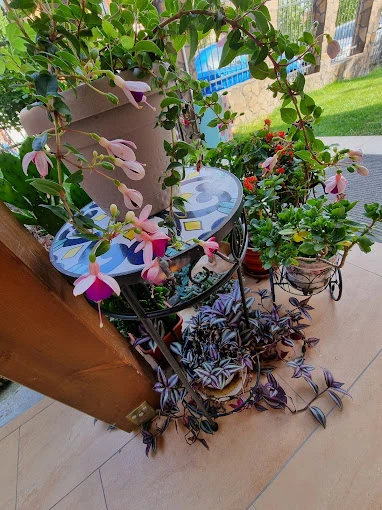 Félixfürdő Szállás | Panzió (K1552-33) A kép szerzői jogvédelem alatt állhat. Javasolt a kapcsolatfelvétel a jog tulajdonossal. Félixfürdő Szállás | Panzió (K1552-33) A kép szerzői jogvédelem alatt állhat. Javasolt a kapcsolatfelvétel a jog tulajdonossal.