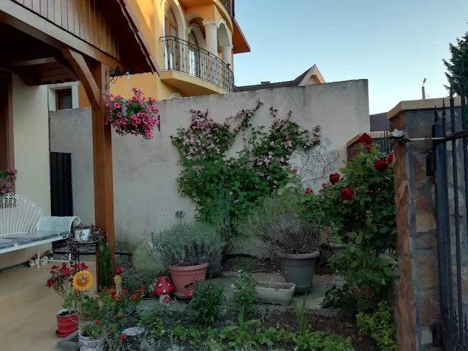 Băile Felix Cazare | Motel (K1552-44) Imaginea poate fi supusă drepturilor de autor. Se recomandă contactarea titularului drepturilor.