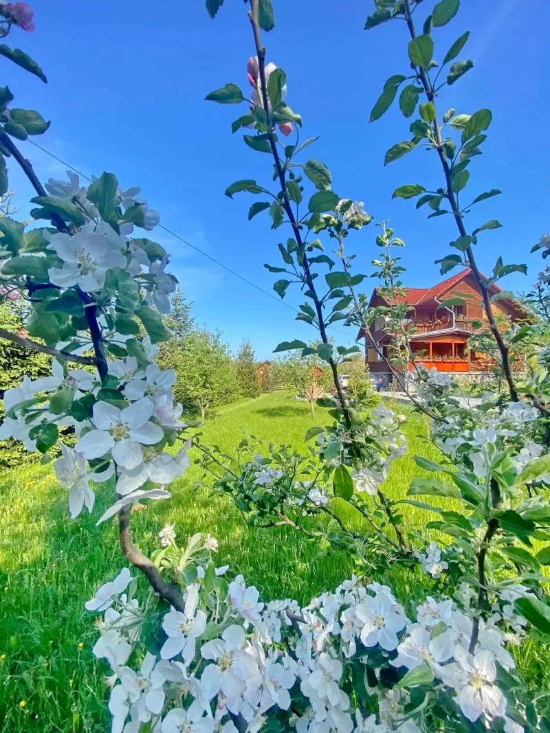 Korond Szállás | Kulcsosház (K0351-8) A kép szerzői jogvédelem alatt állhat. Javasolt a kapcsolatfelvétel a jog tulajdonossal. Korond Szállás | Kulcsosház (K0351-8) A kép szerzői jogvédelem alatt állhat. Javasolt a kapcsolatfelvétel a jog tulajdonossal.