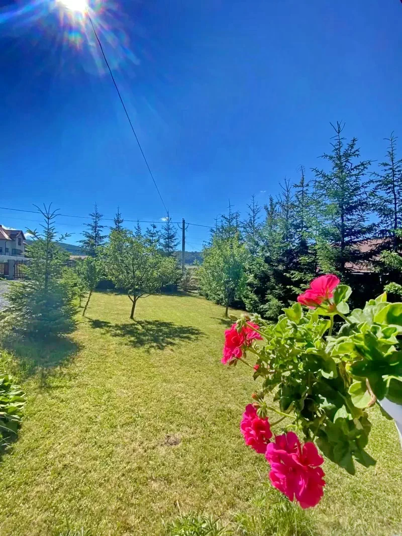 Corund Cazare | Cabană (K0351-9) Imaginea poate fi supusă drepturilor de autor. Se recomandă contactarea titularului drepturilor. Corund Cazare | Cabană (K0351-9) Imaginea poate fi supusă drepturilor de autor. Se recomandă contactarea titularului drepturilor.