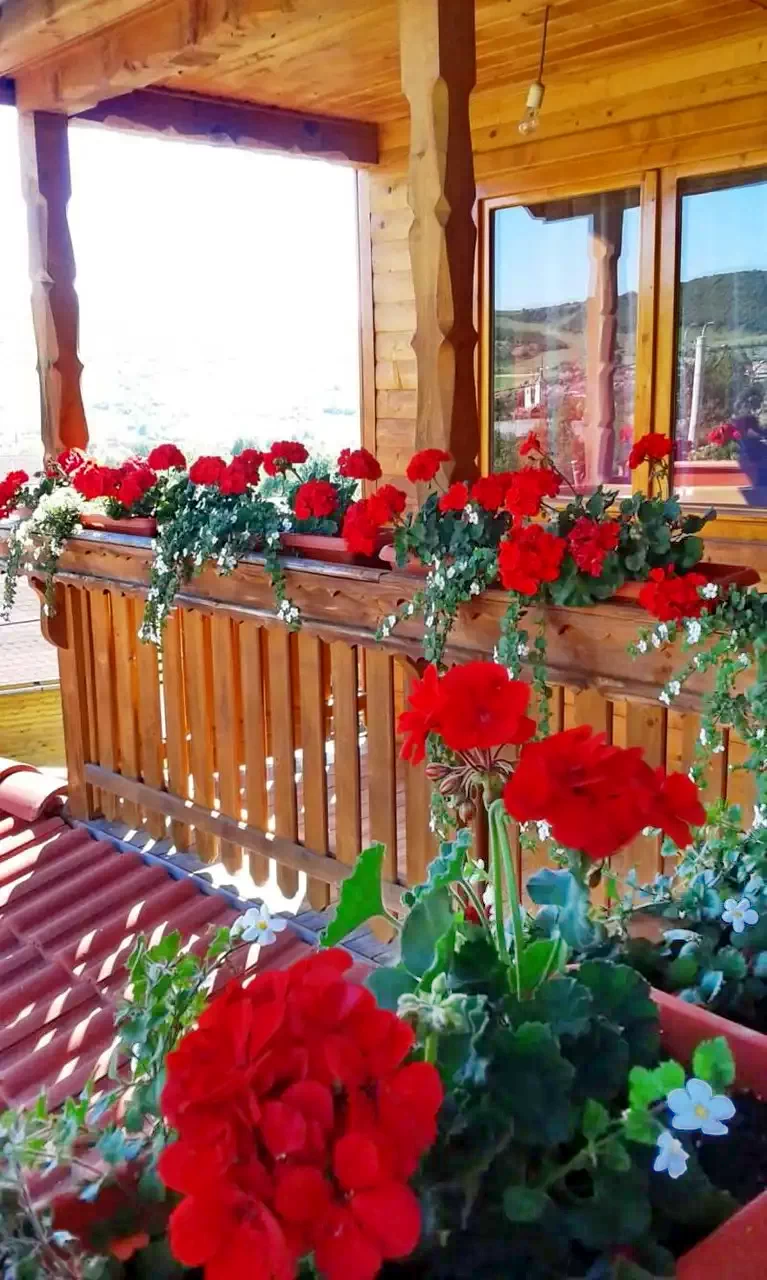 Corund Cazare | Cabană (K0351-35) Imaginea poate fi supusă drepturilor de autor. Se recomandă contactarea titularului drepturilor. Corund Cazare | Cabană (K0351-35) Imaginea poate fi supusă drepturilor de autor. Se recomandă contactarea titularului drepturilor.