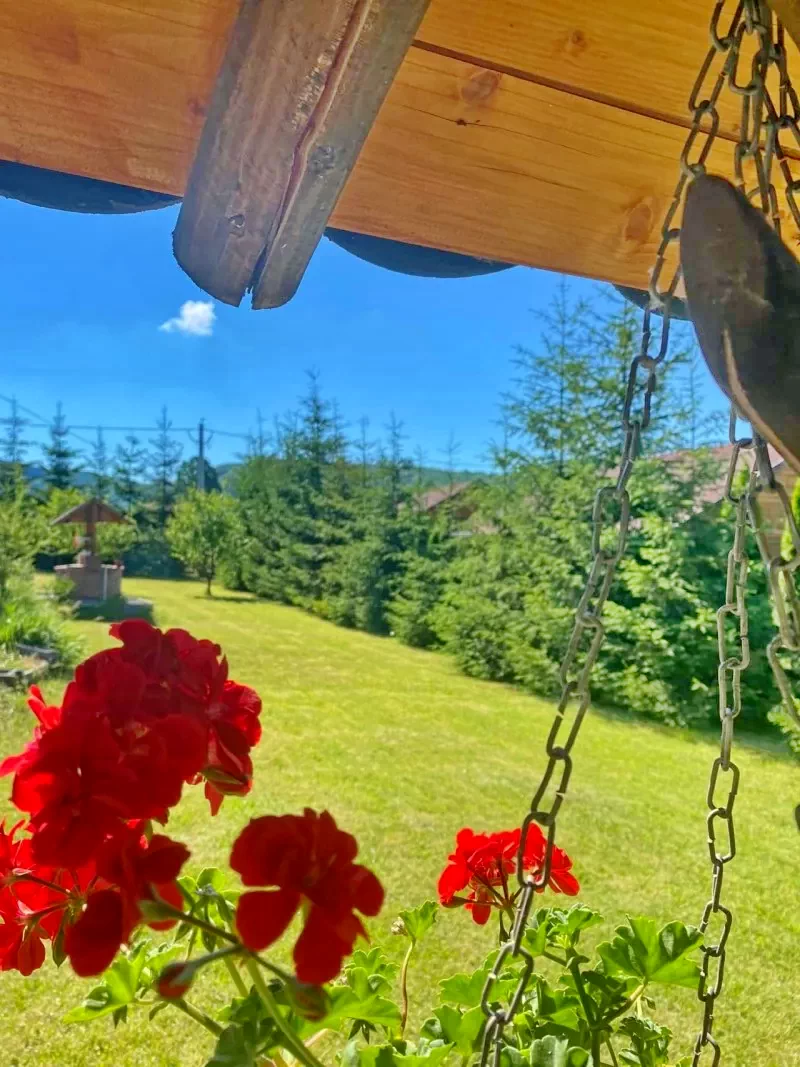 Corund Cazare | Cabană (K0351-47) Imaginea poate fi supusă drepturilor de autor. Se recomandă contactarea titularului drepturilor. Corund Cazare | Cabană (K0351-47) Imaginea poate fi supusă drepturilor de autor. Se recomandă contactarea titularului drepturilor.