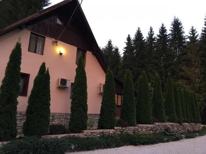 Pietroasa Cazare | Cabană (K1519-30) Imaginea poate fi supusă drepturilor de autor. Se recomandă contactarea titularului drepturilor. Pietroasa Cazare | Cabană (K1519-30) Imaginea poate fi supusă drepturilor de autor. Se recomandă contactarea titularului drepturilor.