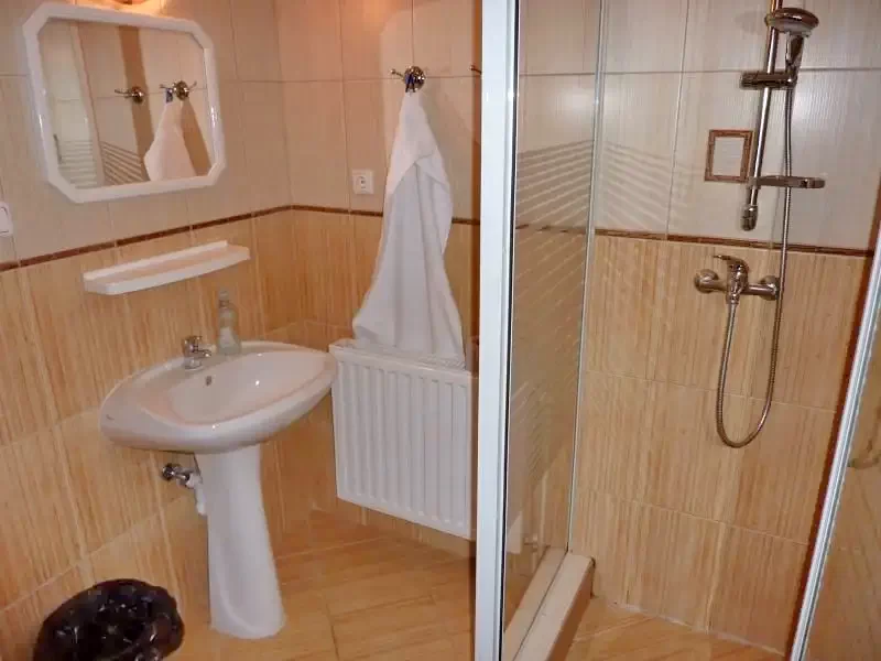 Pârâu Satu Mare Cazare | Sat de vacanță (K0219-7) Imaginea poate fi supusă drepturilor de autor. Se recomandă contactarea titularului drepturilor.