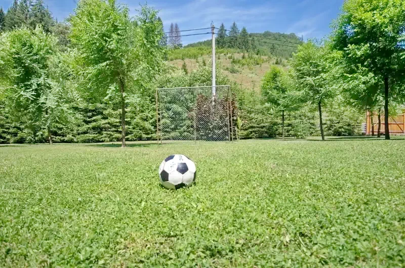 Pârâu Satu Mare Cazare | Sat de vacanță (K0219-22) Imaginea poate fi supusă drepturilor de autor. Se recomandă contactarea titularului drepturilor.