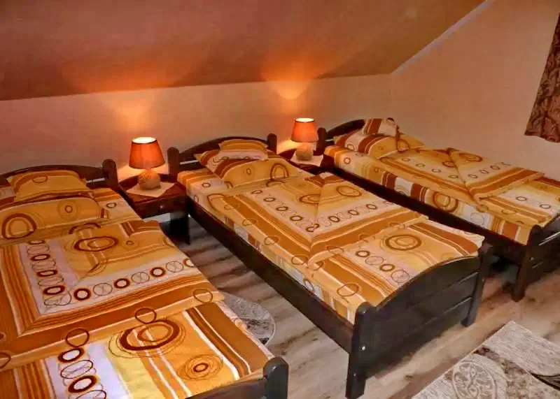 Pârâu Satu Mare Cazare | Cabană (K0220-19) Imaginea poate fi supusă drepturilor de autor. Se recomandă contactarea titularului drepturilor.