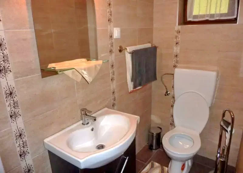 Pârâu Satu Mare Cazare | Cabană (K0220-36) Imaginea poate fi supusă drepturilor de autor. Se recomandă contactarea titularului drepturilor.