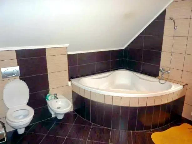 Pârâu Satu Mare Cazare | Hotel**** (K0521-10) Imaginea poate fi supusă drepturilor de autor. Se recomandă contactarea titularului drepturilor.