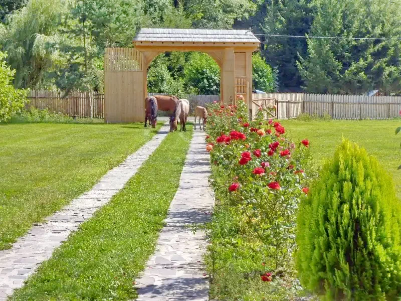 Pârâu Satu Mare Cazare | Sat de vacanță (K0522-1) Imaginea poate fi supusă drepturilor de autor. Se recomandă contactarea titularului drepturilor.