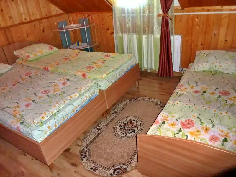 Pârâu Satu Mare Cazare | Sat de vacanță (K0522-27) Imaginea poate fi supusă drepturilor de autor. Se recomandă contactarea titularului drepturilor.