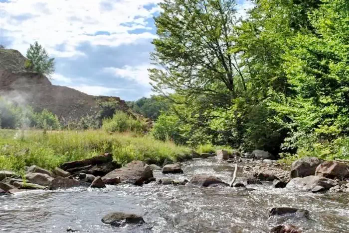 Pârâu Satu Mare Cazare | Sat de vacanță (K0522-36) Imaginea poate fi supusă drepturilor de autor. Se recomandă contactarea titularului drepturilor.