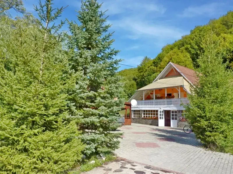 Pârâu Satu Mare Cazare | Sat de vacanță (K0522-37) Imaginea poate fi supusă drepturilor de autor. Se recomandă contactarea titularului drepturilor.