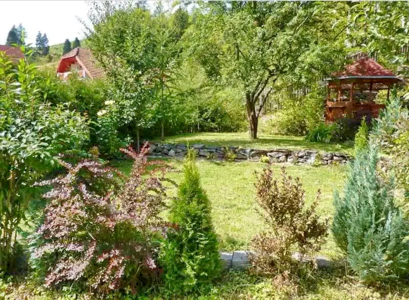 Pârâu Satu Mare Cazare | Sat de vacanță (K0523-20) Imaginea poate fi supusă drepturilor de autor. Se recomandă contactarea titularului drepturilor.