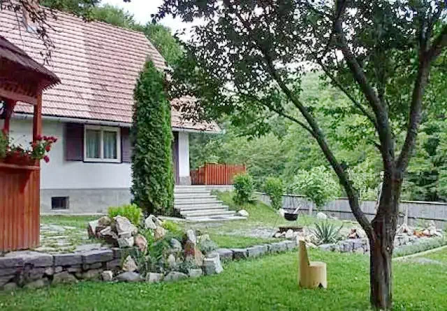 Pârâu Satu Mare Cazare | Sat de vacanță (K0523-26) Imaginea poate fi supusă drepturilor de autor. Se recomandă contactarea titularului drepturilor.