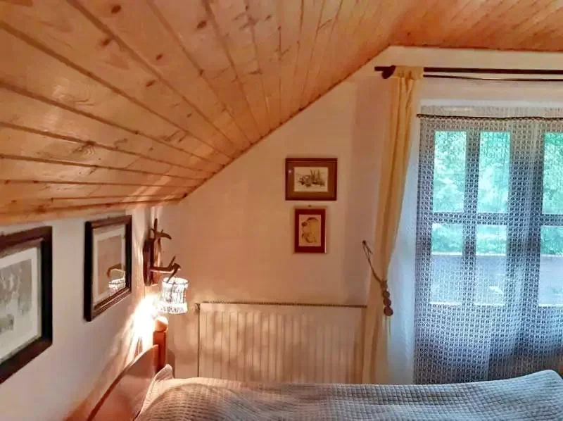 Pârâu Satu Mare Cazare | Sat de vacanță (K0526-18) Imaginea poate fi supusă drepturilor de autor. Se recomandă contactarea titularului drepturilor.