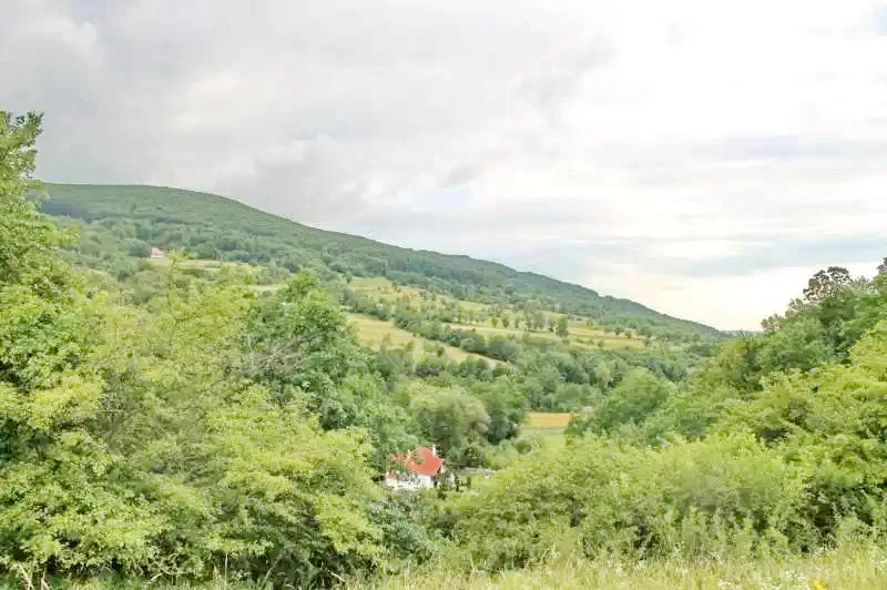 Máréfalvi Patak Szállás | Üdülőfalu (K0526-35) A kép szerzői jogvédelem alatt állhat. Javasolt a kapcsolatfelvétel a jog tulajdonossal.