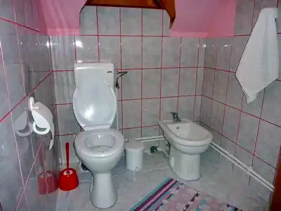 Pârâu Satu Mare Cazare | Cabană (K0529-11) Imaginea poate fi supusă drepturilor de autor. Se recomandă contactarea titularului drepturilor.