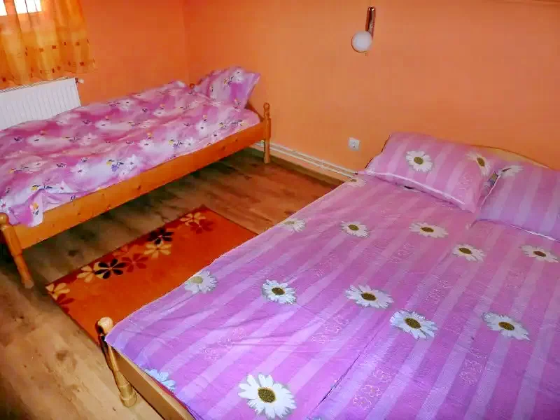 Pârâu Satu Mare Cazare | Sat de vacanță (K0726-20) Imaginea poate fi supusă drepturilor de autor. Se recomandă contactarea titularului drepturilor.