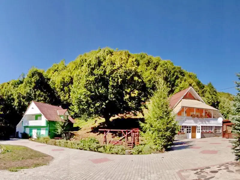 Pârâu Satu Mare Cazare | Cabana turistică (K0726-33) Imaginea poate fi supusă drepturilor de autor. Se recomandă contactarea titularului drepturilor.