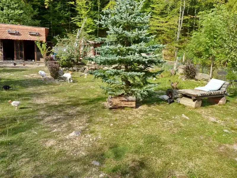 Pârâu Satu Mare Cazare | Cabană (K0731-9) Imaginea poate fi supusă drepturilor de autor. Se recomandă contactarea titularului drepturilor.