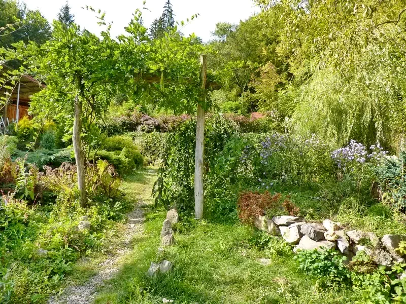 Pârâu Satu Mare Cazare | Sat de vacanță (K0731-10) Imaginea poate fi supusă drepturilor de autor. Se recomandă contactarea titularului drepturilor.