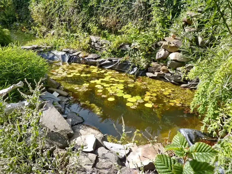 Pârâu Satu Mare Cazare | Sat de vacanță (K0731-11) Imaginea poate fi supusă drepturilor de autor. Se recomandă contactarea titularului drepturilor.