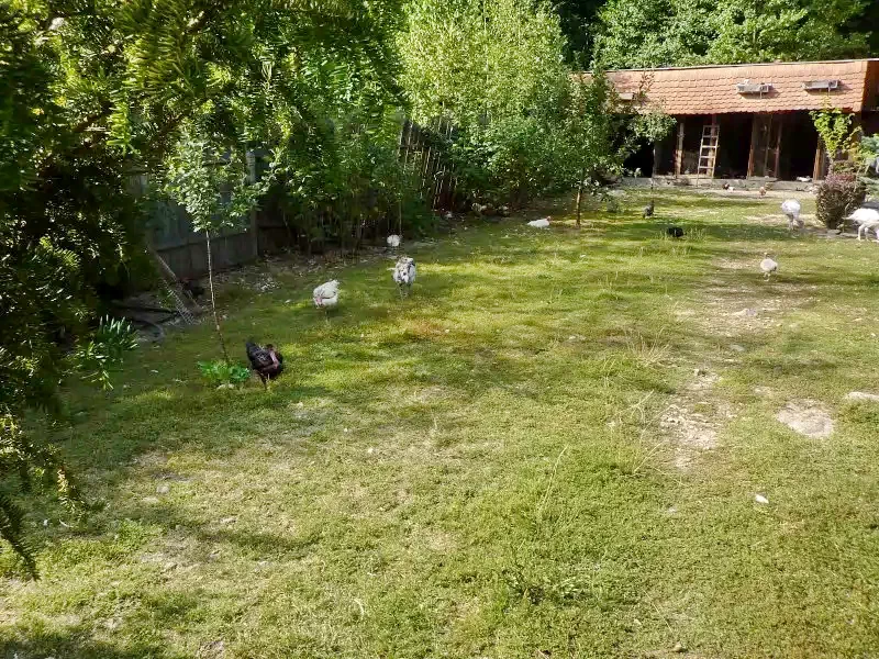 Pârâu Satu Mare Cazare | Sat de vacanță (K0731-26) Imaginea poate fi supusă drepturilor de autor. Se recomandă contactarea titularului drepturilor.