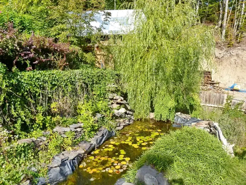 Máréfalvi Patak Szállás | Kulcsosház (K0731-27) A kép szerzői jogvédelem alatt állhat. Javasolt a kapcsolatfelvétel a jog tulajdonossal.