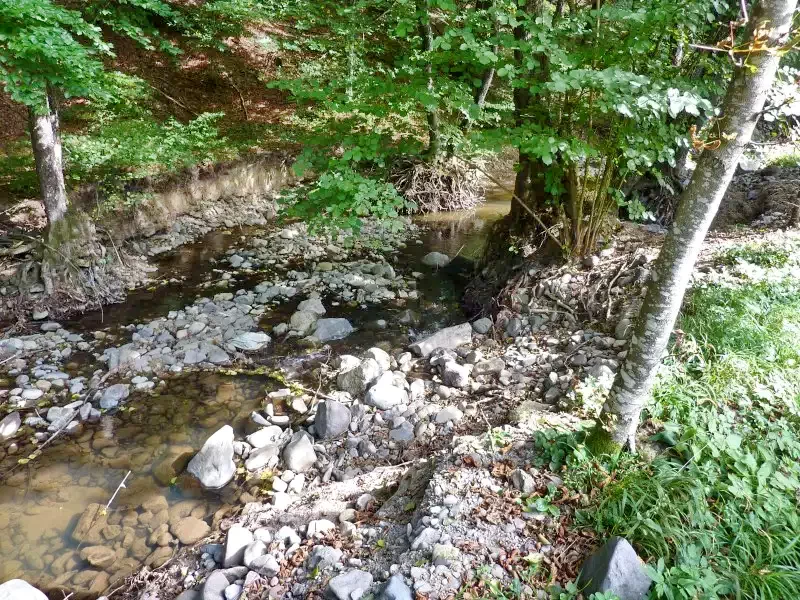 Pârâu Satu Mare Cazare | Sat de vacanță (K0732-11) Imaginea poate fi supusă drepturilor de autor. Se recomandă contactarea titularului drepturilor.