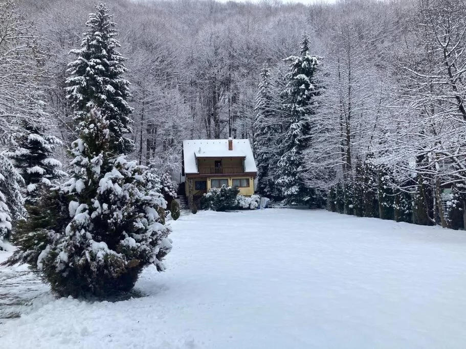 Pârâu Satu Mare Cazare | Cabană (K1151-17) Imaginea poate fi supusă drepturilor de autor. Se recomandă contactarea titularului drepturilor.