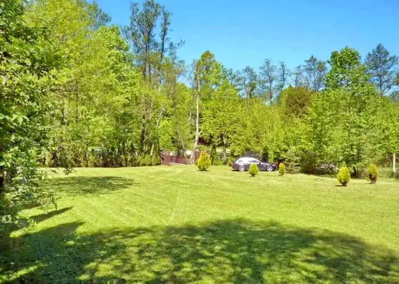 Pârâu Satu Mare Cazare | Sat de vacanță (K1151-19) Imaginea poate fi supusă drepturilor de autor. Se recomandă contactarea titularului drepturilor.