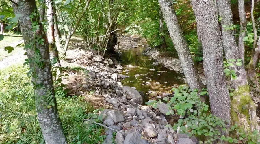 Pârâu Satu Mare Cazare | Cabană (K1151-21) Imaginea poate fi supusă drepturilor de autor. Se recomandă contactarea titularului drepturilor.