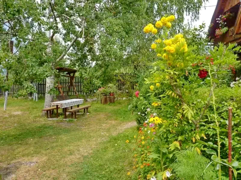 Barajul Zetea Cazare | Hotel**** (K0487-17) Imaginea poate fi supusă drepturilor de autor. Se recomandă contactarea titularului drepturilor.