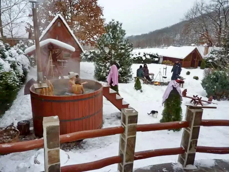 Barajul Zetea Cazare | Sat de vacanță (K0485-86) Imaginea poate fi supusă drepturilor de autor. Se recomandă contactarea titularului drepturilor.