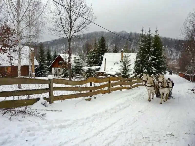 Zetelaki Víztározó Szállás | Kulcsosház (K0485-91) A kép szerzői jogvédelem alatt állhat. Javasolt a kapcsolatfelvétel a jog tulajdonossal.