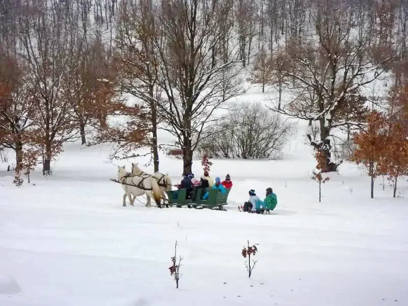 Zetelaki Víztározó Szállás | Üdülőfalu (K0485-93) A kép szerzői jogvédelem alatt állhat. Javasolt a kapcsolatfelvétel a jog tulajdonossal.