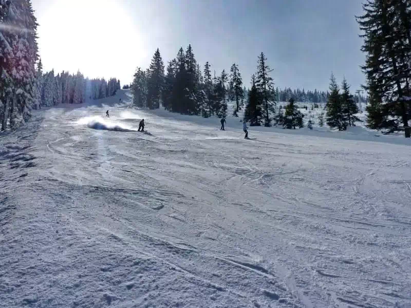 Zetelaki Víztározó Szállás | Üdülőfalu (K0485-98) A kép szerzői jogvédelem alatt állhat. Javasolt a kapcsolatfelvétel a jog tulajdonossal.