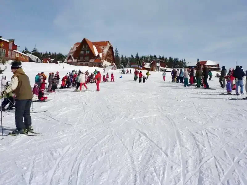 Zetelaki Víztározó Szállás | Kulcsosház (K0485-99) A kép szerzői jogvédelem alatt állhat. Javasolt a kapcsolatfelvétel a jog tulajdonossal.