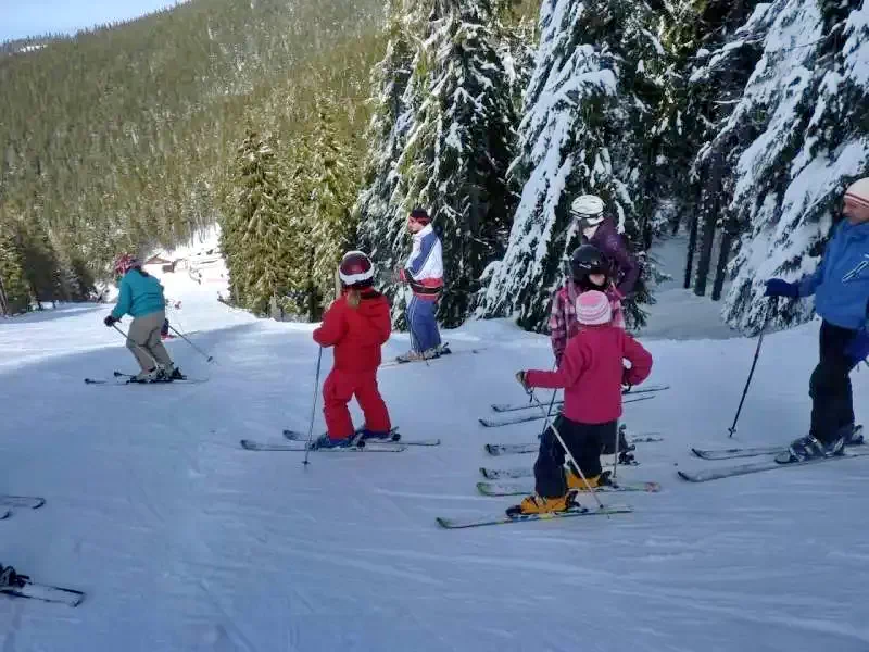 Barajul Zetea Cazare | Sat de vacanță (K0485-100) Imaginea poate fi supusă drepturilor de autor. Se recomandă contactarea titularului drepturilor.