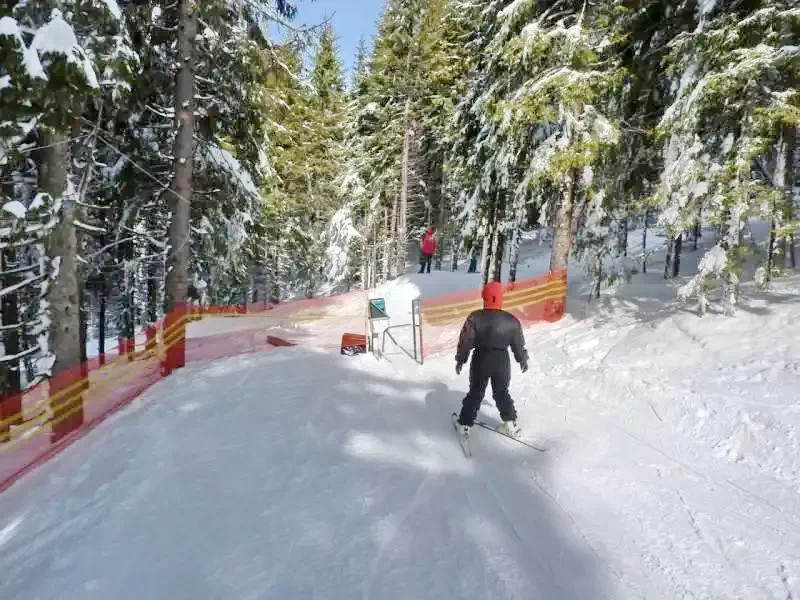 Barajul Zetea Cazare | Sat de vacanță (K0485-101) Imaginea poate fi supusă drepturilor de autor. Se recomandă contactarea titularului drepturilor.